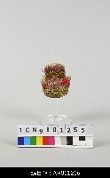 藏品(布袋戲盔帽-南戰(硬盔))的圖片